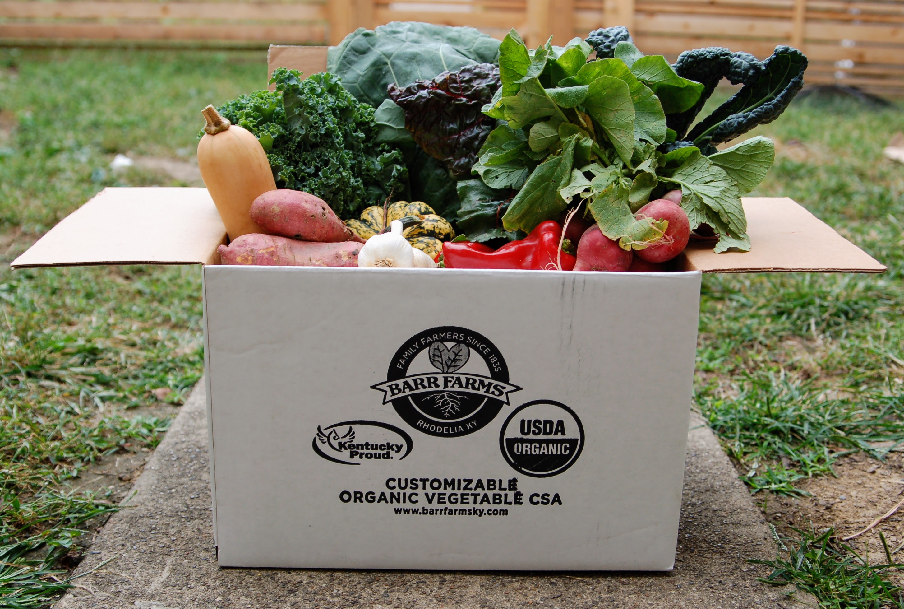 Box of overflowing vegetables on a sidewalk leading to a door. The box is white with the Barr Farms logo 